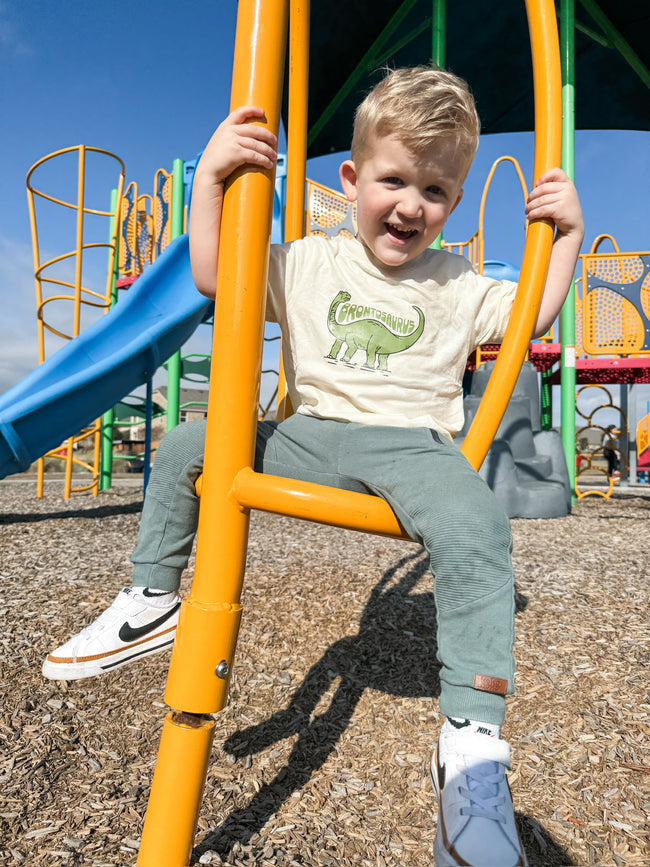 Brontosaurus Tshirt Main Image